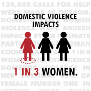 Domestic violence impacts 1 in 3 women